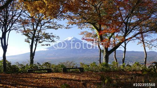 Fuji-hegység őszi szezonja, Partner Kollekció