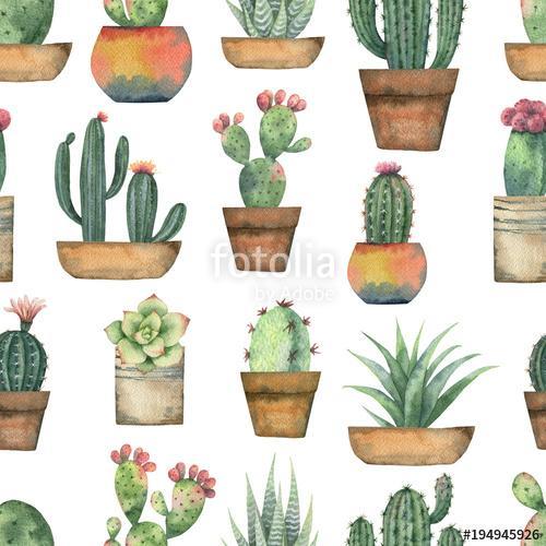 Watercolor seamless pattern of cacti and succulent plants isolat, Premium Kollekció