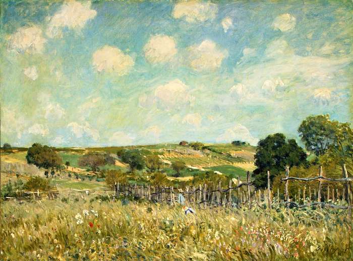 Mező, Alfred Sisley