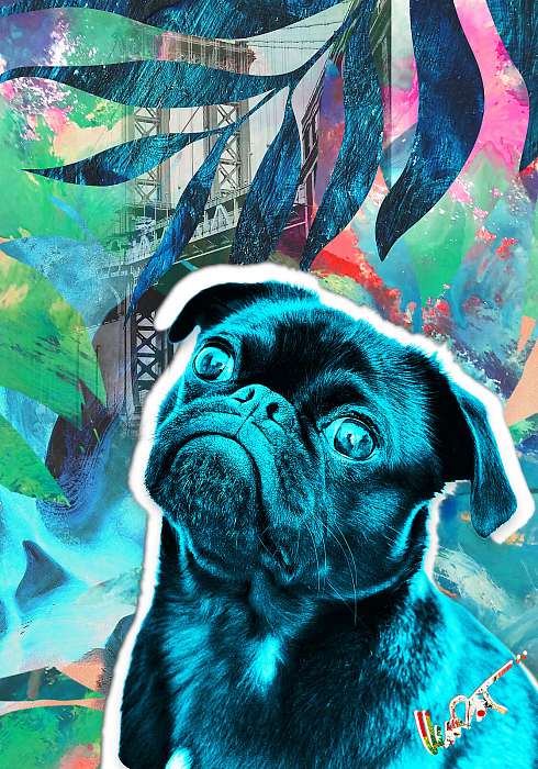 Pug (MenzArt), 