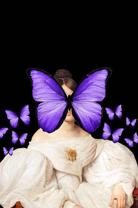 Lila Pillangók (Barokk & Graffiti), Partner Kollekció