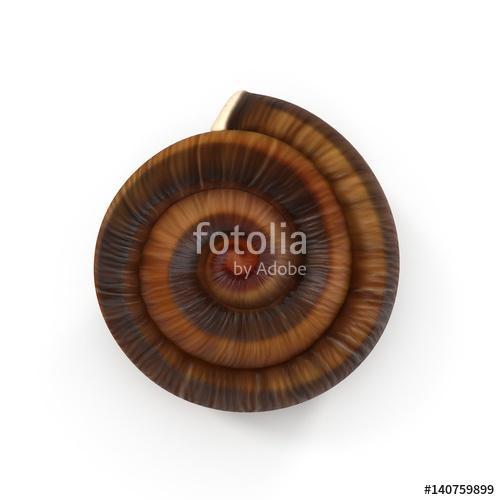 single empty snail shell isolated on white. 3D illustration, Premium Kollekció