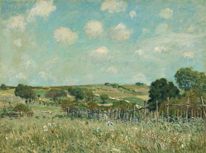 Mező 2, Alfred Sisley