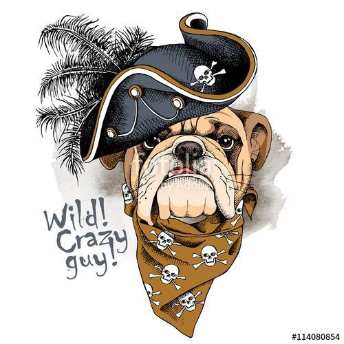 Bulldog portrait in a Pirates Hat and with neckerchief. Vector i, Premium Kollekció