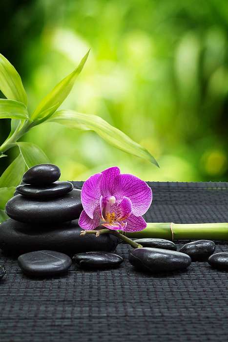 lila orchidea torony fekete kövekkel, bambusz fekete matracon, Premium Kollekció