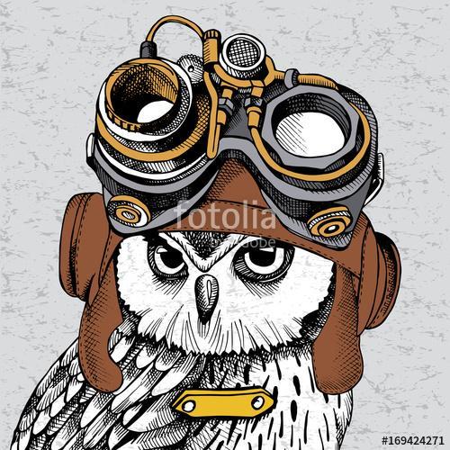 Owl portrait in a Steampunk helmet. Vector illustration., Premium Kollekció