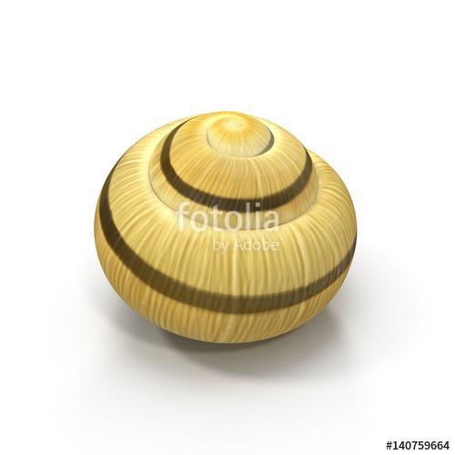 Snail Shell on white. 3D illustration, Premium Kollekció