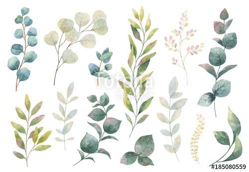 Hand drawn vector watercolor set of herbs, wildflowers and spice, Premium Kollekció