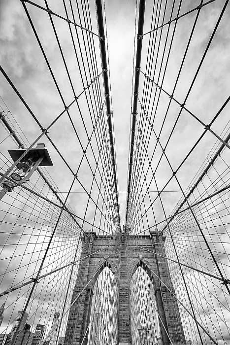 Looking up at the Brooklyn Bridge, New York City, USA., Premium Kollekció