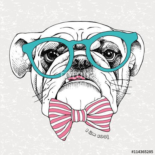 Image the portrait of a bulldog with a bow and in the glasses. V, Premium Kollekció