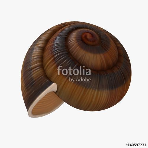 Snail Shell on white. 3D illustration, Premium Kollekció