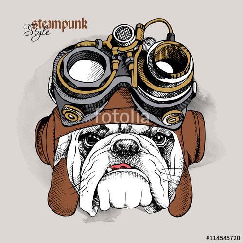 The image of the bulldog portrait in the Steampunk helmet. Vecto, Premium Kollekció