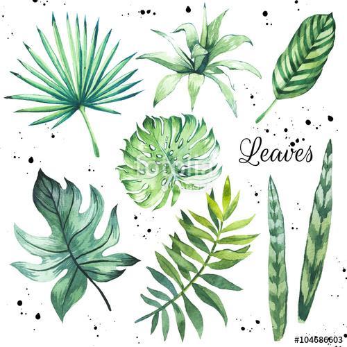 Illustration with tropical leaves. Watercolor set of green leave, Premium Kollekció