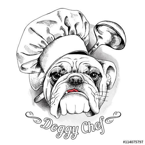 The poster with the image of dog Bulldog in the hat of chef and , Premium Kollekció