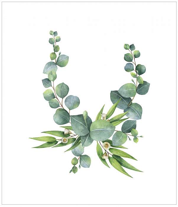 Watercolor vector bouquet with green eucalyptus leaves and branc, Premium Kollekció