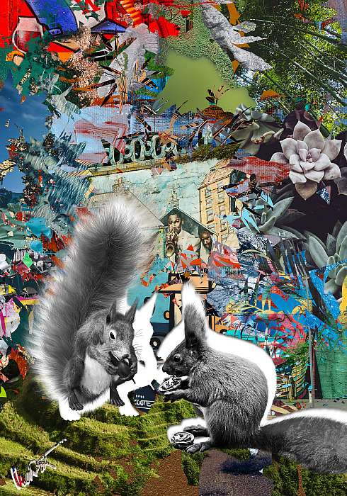 Squirrels (MenzArt), 