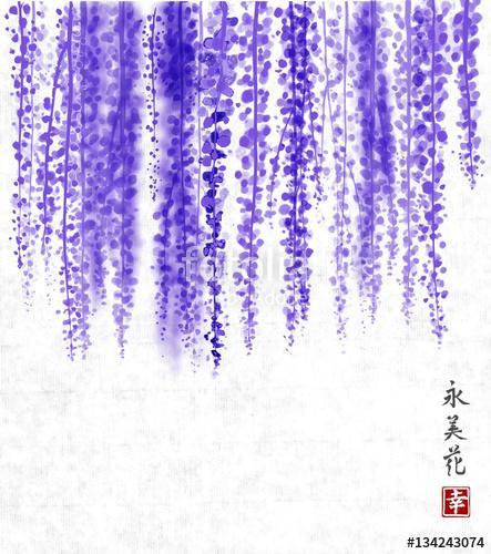 Wisteria hand drawn with ink on rice paper background Traditiona, Premium Kollekció