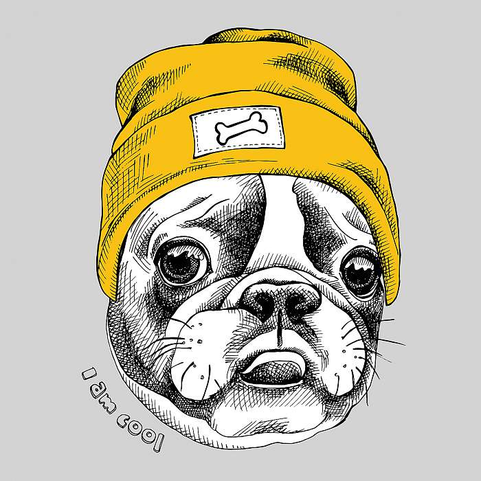 Portrait of French bulldog in a yellow Hipster hat. Vector illus, Premium Kollekció