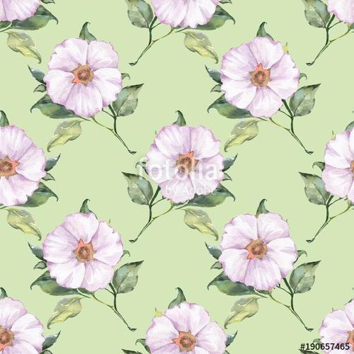 Floral seamless pattern 4. Watercolor background with white flow, Premium Kollekció