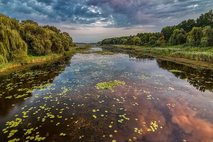 Kis-Balaton, 