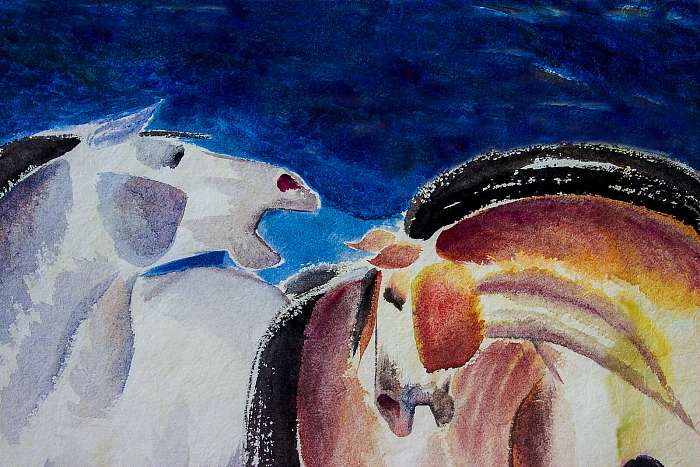 Absztrakt színes lovak (akvarell), Premium Kollekció