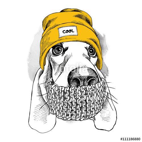 Portrait of Basset Hound dog in a Hipster hat and with scarf. Ve, Premium Kollekció