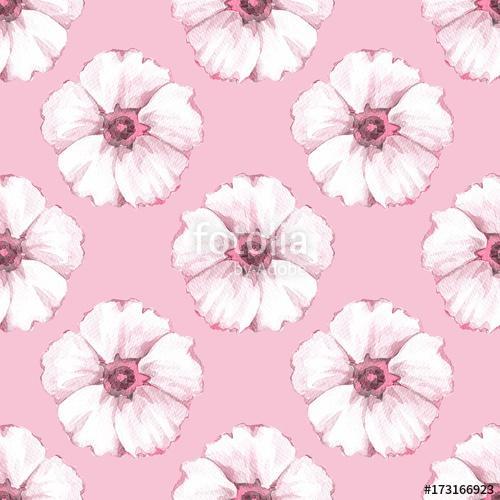 Floral seamless pattern. Watercolor background with white flower, Premium Kollekció