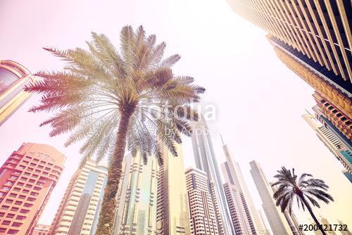 Palm trees in front of modern skyscrapers in Dubai, color toned , Premium Kollekció