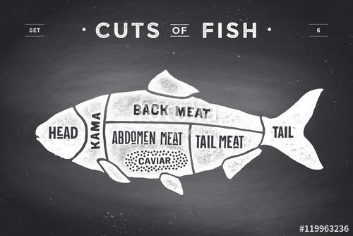 Cut of meat set. Poster Butcher diagram and scheme - Fish, Premium Kollekció