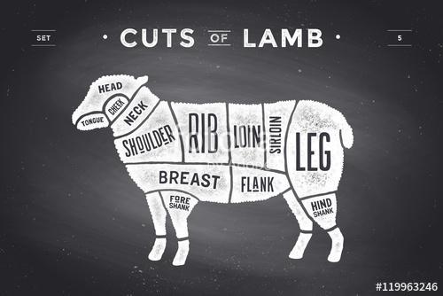 Cut of beef set. Poster Butcher diagram and scheme - Lamb, Premium Kollekció