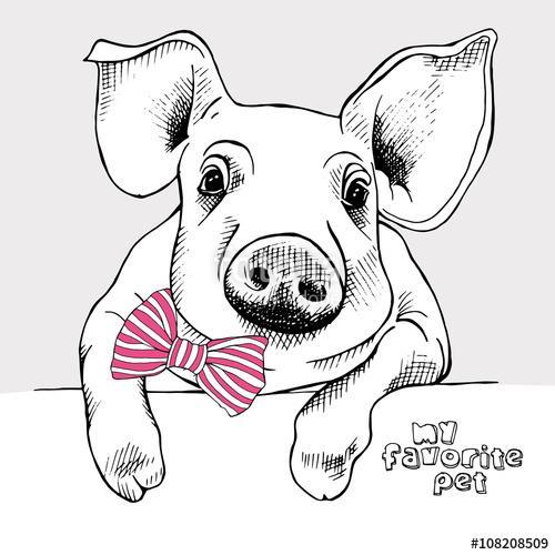 Image of a small pig with a bow. Vector illustration., Premium Kollekció