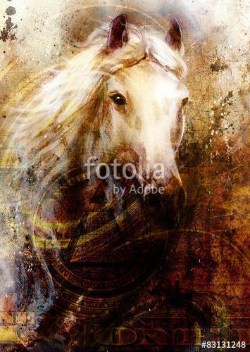 Horse heads, abstract ocre background, with one dollar collage., Premium Kollekció