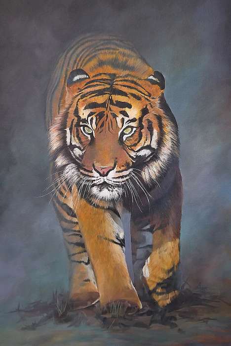 Tigris, Partner Kollekció
