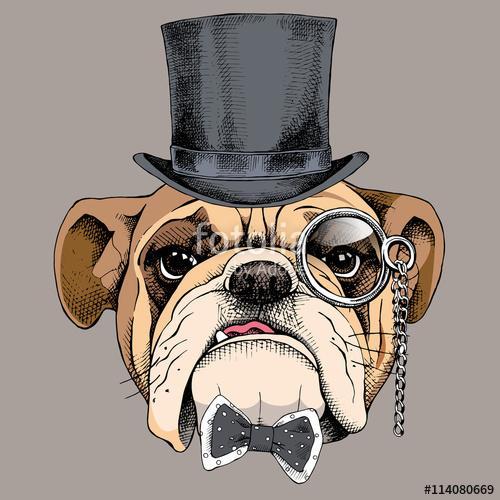 Bulldog portrait in a bowler hat, with a tie and with a monocle., Premium Kollekció Bulldog portrait in a bowler hat, with a tie and with a monocle., Premium Kollekció