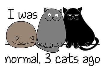 Három cica előtt normális voltam, 