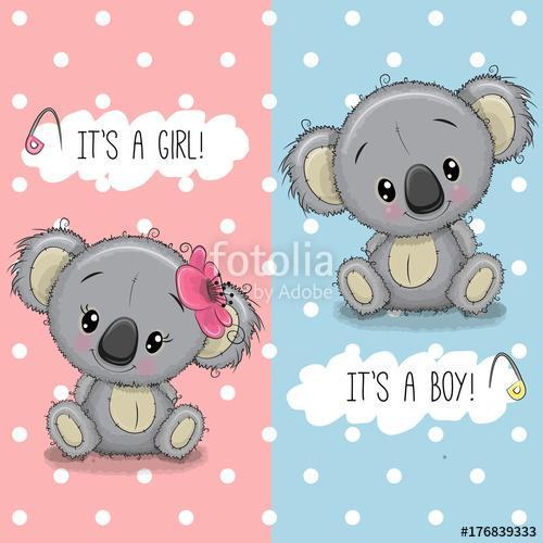Lány koala, fiú koala, 