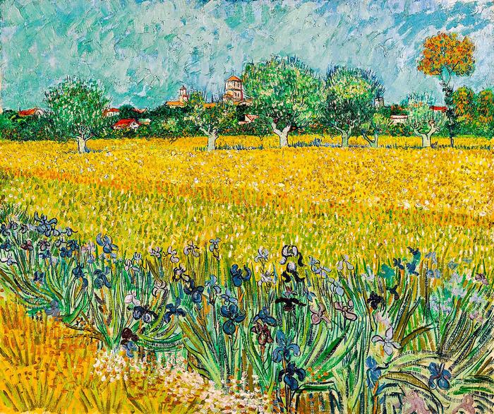 Arles látképe íriszekkel (színverzió 2), Vincent Van Gogh
