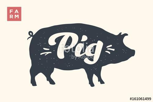 Farm animals set. Isolated pig silhouette and words Pig, Farm. C, Premium Kollekció