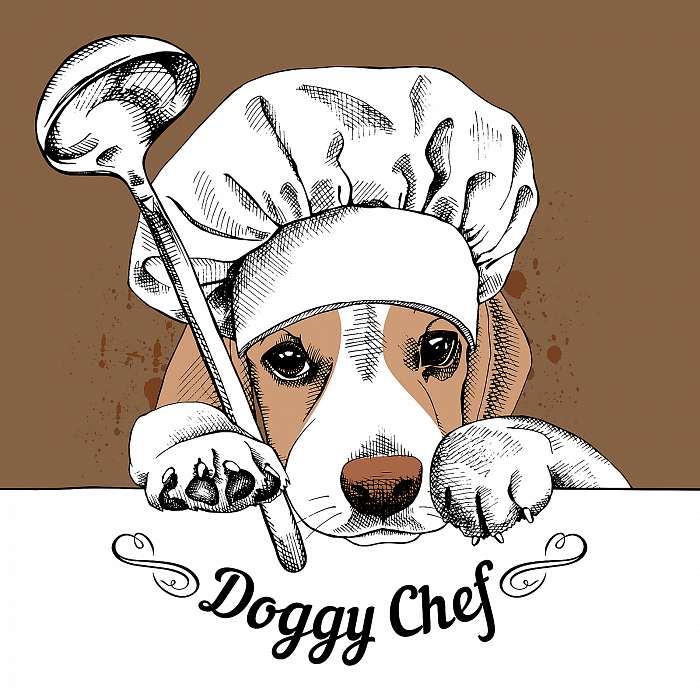The poster with the image of dog Beagle in the hat of chef and w, Premium Kollekció