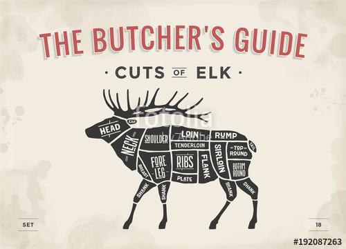 Cut of meat set. Poster Butcher diagram, scheme - Elk. Vintage t, Premium Kollekció
