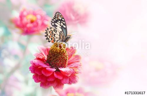 Delicate elegant light natural background  template with pink fl, Premium Kollekció