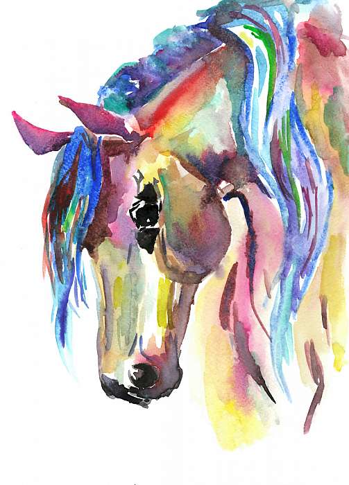 Horse head. Color watercolor illustration. Hand drawn, Premium Kollekció