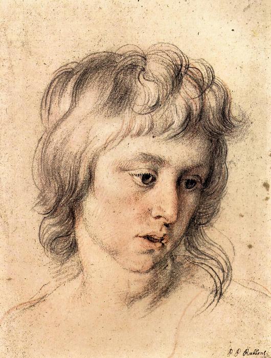 Fiú portré, Peter Paul Rubens