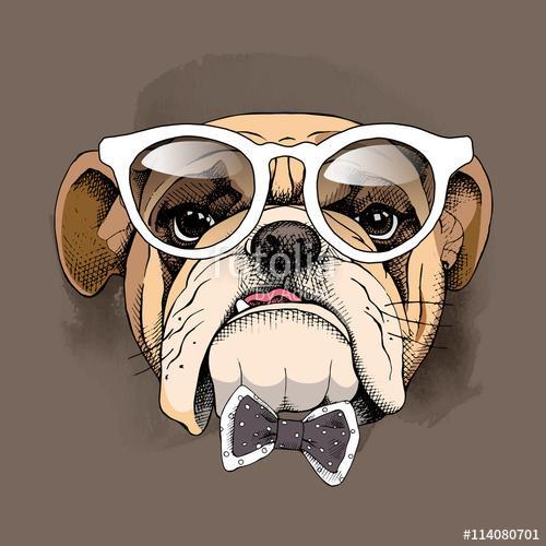 Bulldog portrait in a glasses and with a tie. Vector illustratio, Premium Kollekció