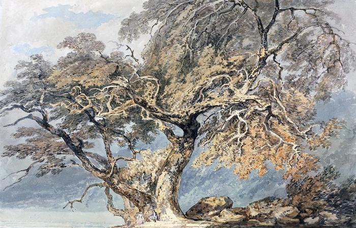 Nagy fa (Színverzió 1), William Turner