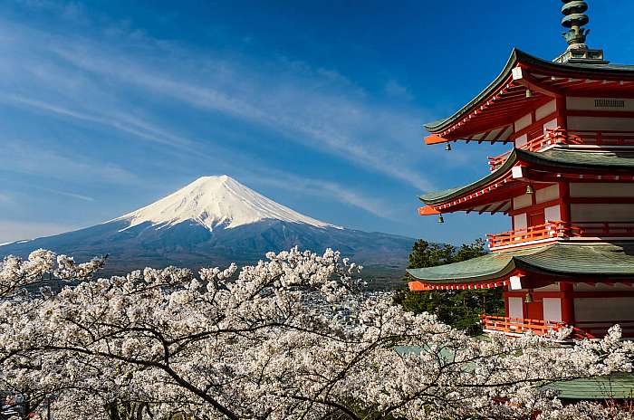 Mount Fuji pagoda és cseresznyefákkal, Japánban, Premium Kollekció