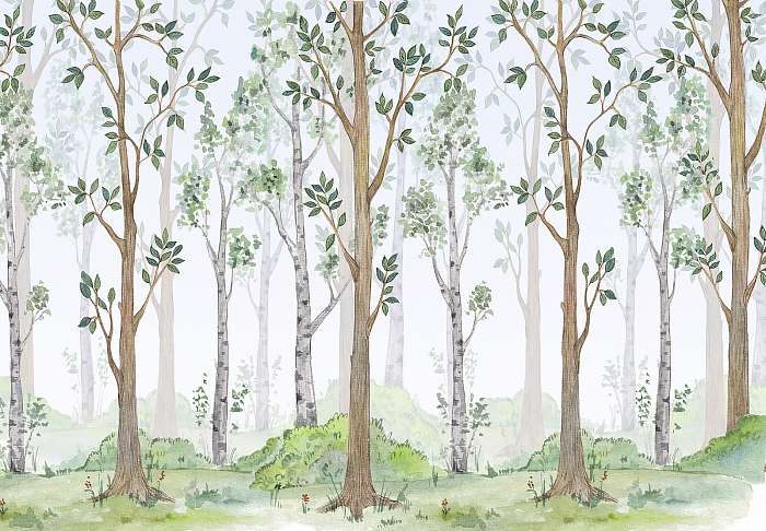 Birs és nyírfa erdő vízfesték stílusban, 