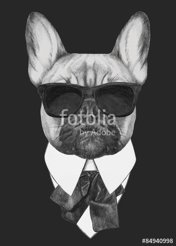 Hand drawn fashion Illustration of French Bulldog. Vector isolat, Premium Kollekció