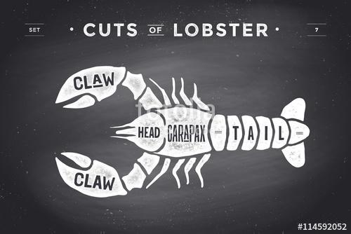 Cut of meat set. Poster Butcher diagram and scheme - Lobster. Vi, Premium Kollekció
