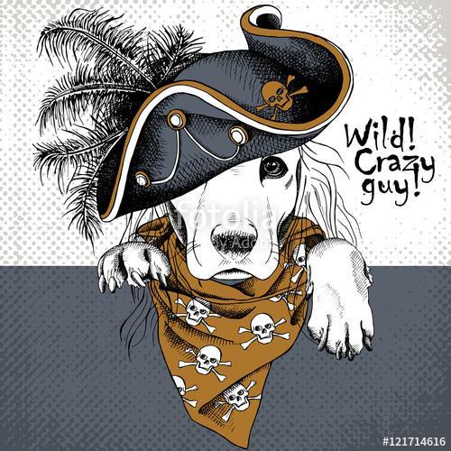 Poster with portrait of a dog wearing gray pirate hat and brown , Premium Kollekció